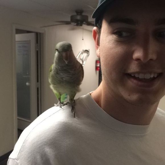 Meet your Posher, Stephen - Picture 1 of 1